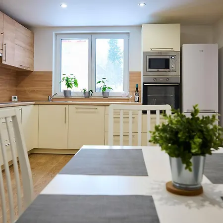 U Dzina-1 By Interhome Apartmán Polubny